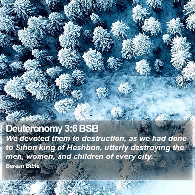 Deuteronomy 3:6 BSB Bible Verse Image