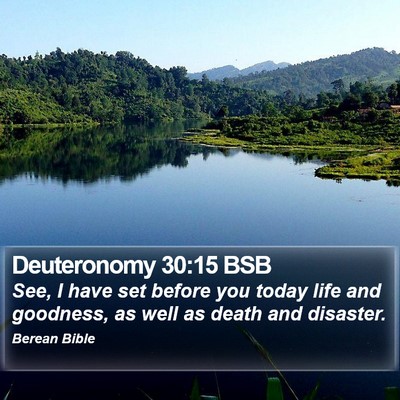 Deuteronomy 30:15 BSB Bible Verse Image