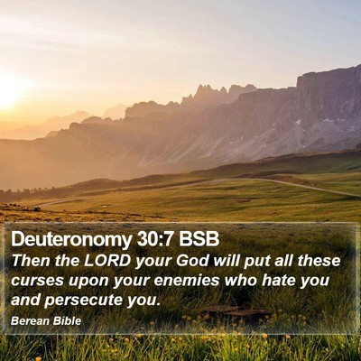 Deuteronomy 30:7 BSB Bible Verse Image