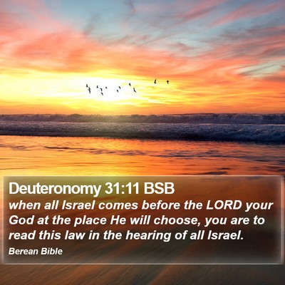 Deuteronomy 31:11 BSB Bible Verse Image