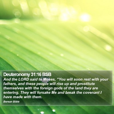 Deuteronomy 31:16 BSB Bible Verse Image