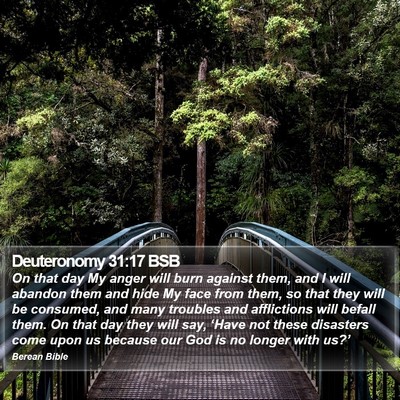 Deuteronomy 31:17 BSB Bible Verse Image