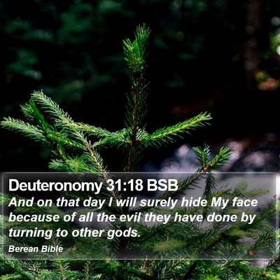 Deuteronomy 31:18 BSB Bible Verse Image