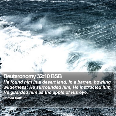 Deuteronomy 32:10 BSB Bible Verse Image