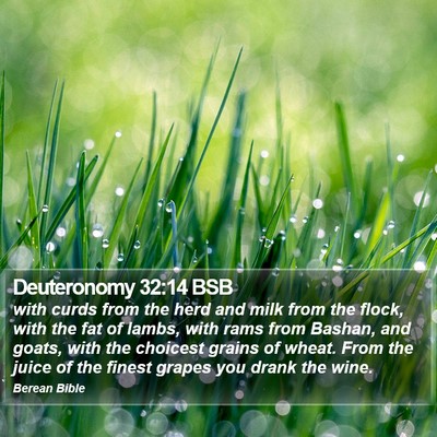 Deuteronomy 32:14 BSB Bible Verse Image