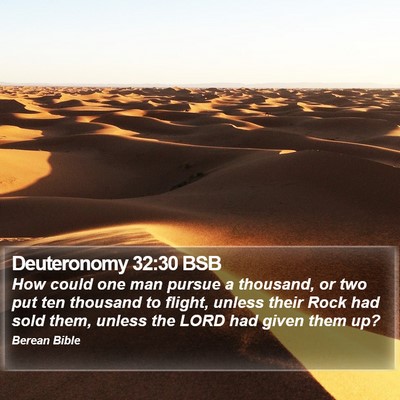 Deuteronomy 32:30 BSB Bible Verse Image