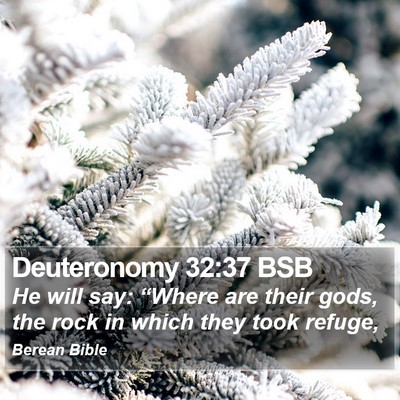 Deuteronomy 32:37 BSB Bible Verse Image