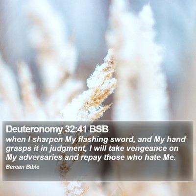 Deuteronomy 32:41 BSB Bible Verse Image
