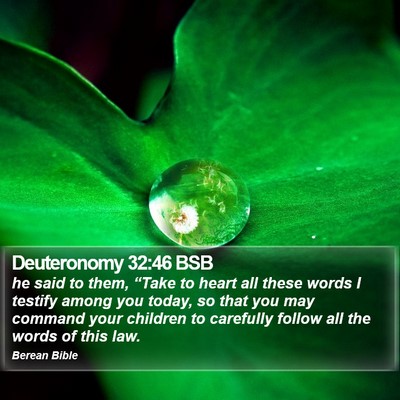 Deuteronomy 32:46 BSB Bible Verse Image