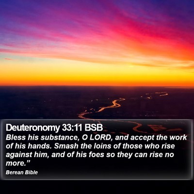 Deuteronomy 33:11 BSB Bible Verse Image