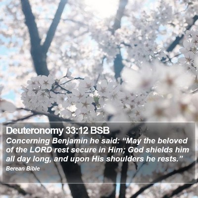 Deuteronomy 33:12 BSB Bible Verse Image