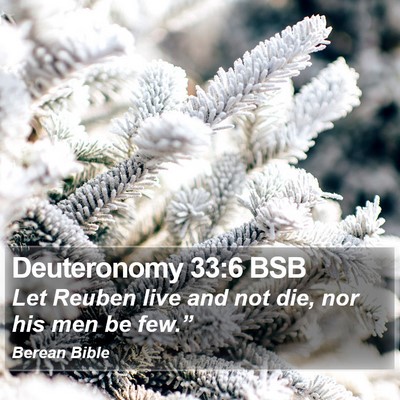 Deuteronomy 33:6 BSB Bible Verse Image