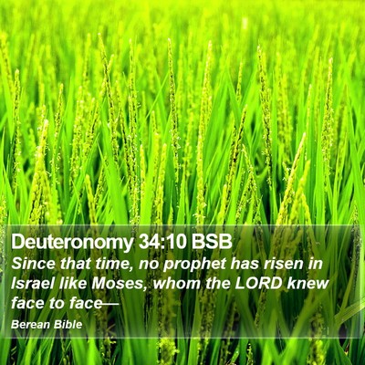 Deuteronomy 34:10 BSB Bible Verse Image
