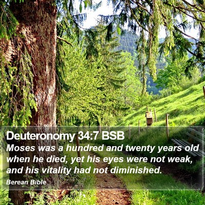 Deuteronomy 34:7 BSB Bible Verse Image