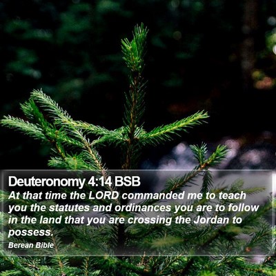 Deuteronomy 4:14 BSB Bible Verse Image