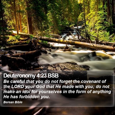 Deuteronomy 4:23 BSB Bible Verse Image