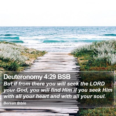 Deuteronomy 4:29 BSB Bible Verse Image