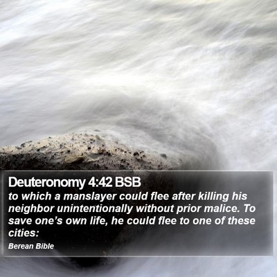 Deuteronomy 4:42 BSB Bible Verse Image