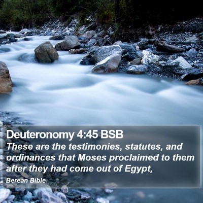 Deuteronomy 4:45 BSB Bible Verse Image