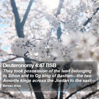 Deuteronomy 4:47 BSB Bible Verse Image
