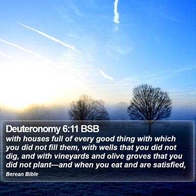 Deuteronomy 6:11 BSB Bible Verse Image