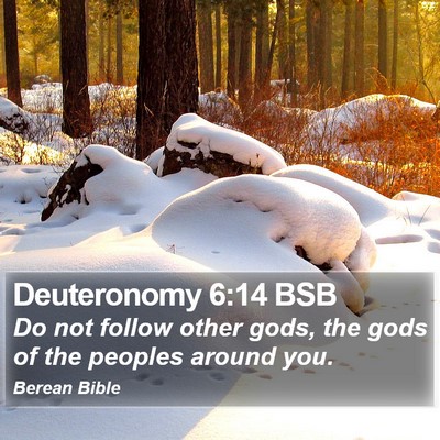 Deuteronomy 6:14 BSB Bible Verse Image