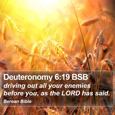 Deuteronomy 6:19 BSB Bible Verse Image