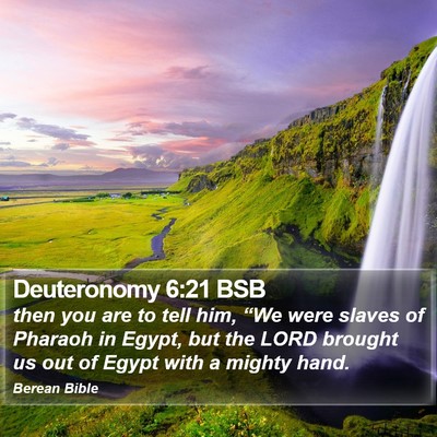 Deuteronomy 6:21 BSB Bible Verse Image