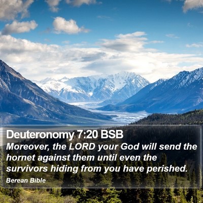 Deuteronomy 7:20 BSB Bible Verse Image
