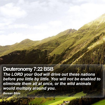 Deuteronomy 7:22 BSB Bible Verse Image
