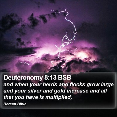 Deuteronomy 8:13 BSB Bible Verse Image