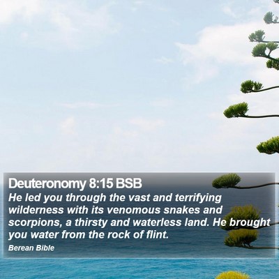 Deuteronomy 8:15 BSB Bible Verse Image
