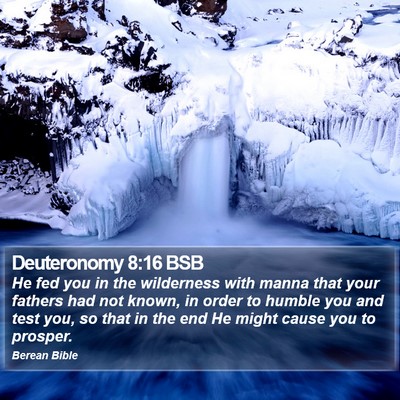 Deuteronomy 8:16 BSB Bible Verse Image