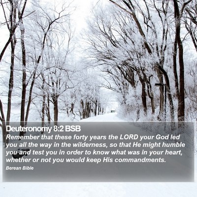 Deuteronomy 8:2 BSB Bible Verse Image