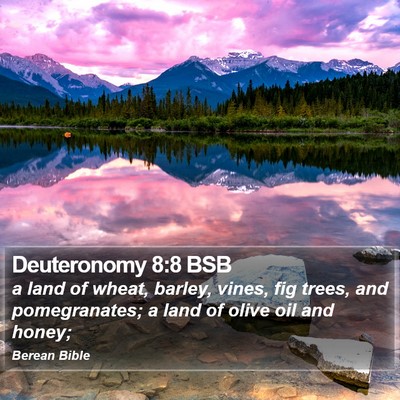 Deuteronomy 8:8 BSB Bible Verse Image