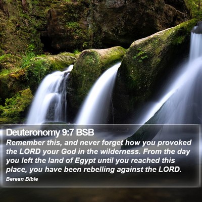 Deuteronomy 9:7 BSB Bible Verse Image