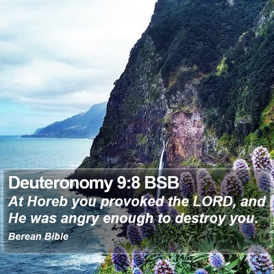 Deuteronomy 9:8 BSB Bible Verse Image