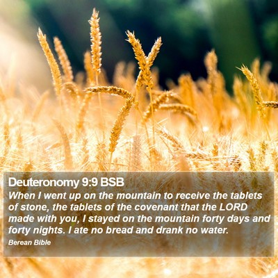 Deuteronomy 9:9 BSB Bible Verse Image