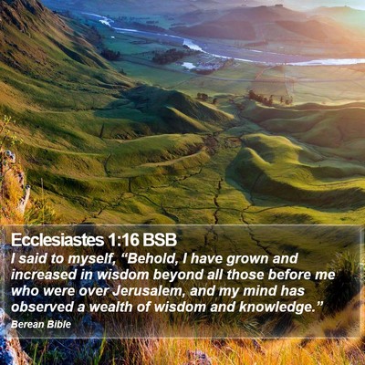 Ecclesiastes 1:16 BSB Bible Verse Image