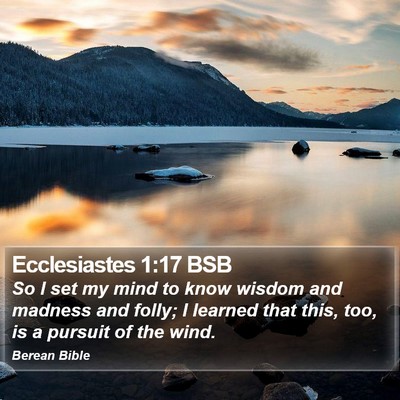 Ecclesiastes 1:17 BSB Bible Verse Image