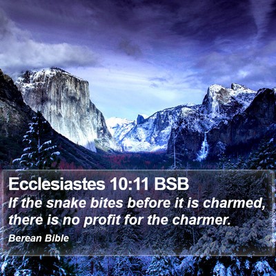 Ecclesiastes 10:11 BSB Bible Verse Image