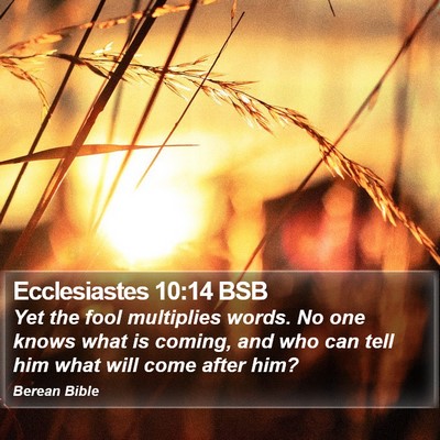 Ecclesiastes 10:14 BSB Bible Verse Image