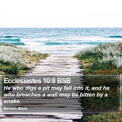 Ecclesiastes 10:8 BSB Bible Verse Image