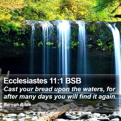Ecclesiastes 11:1 BSB Bible Verse Image