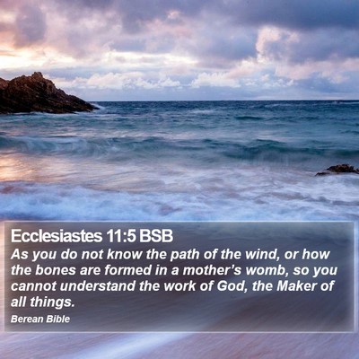 Ecclesiastes 11:5 BSB Bible Verse Image