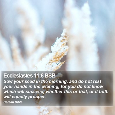 Ecclesiastes 11:6 BSB Bible Verse Image