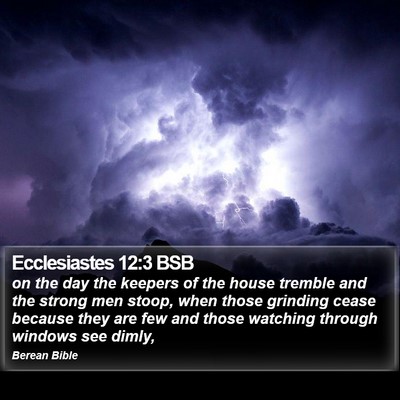 Ecclesiastes 12:3 BSB Bible Verse Image