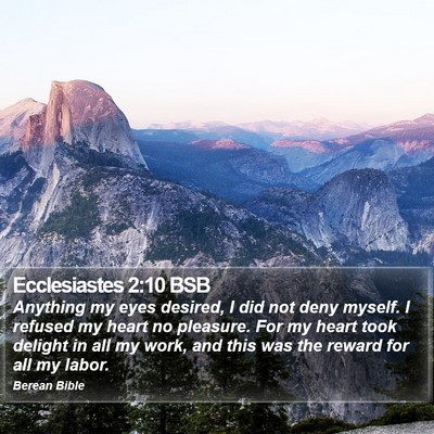 Ecclesiastes 2:10 BSB Bible Verse Image