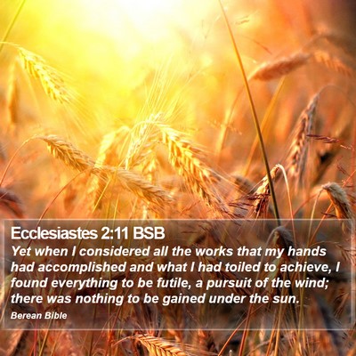 Ecclesiastes 2:11 BSB Bible Verse Image