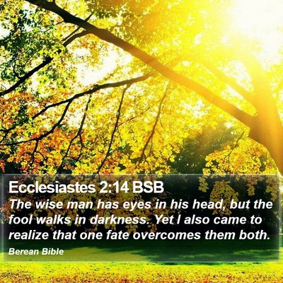 Ecclesiastes 2:14 BSB Bible Verse Image